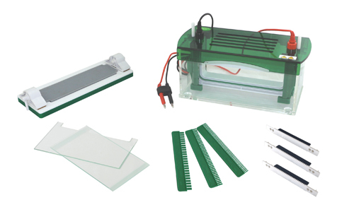 Electroforesis Vertical Rápida SSR YR03430